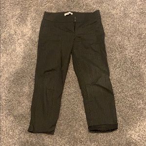 Ann Taylor cropped pants